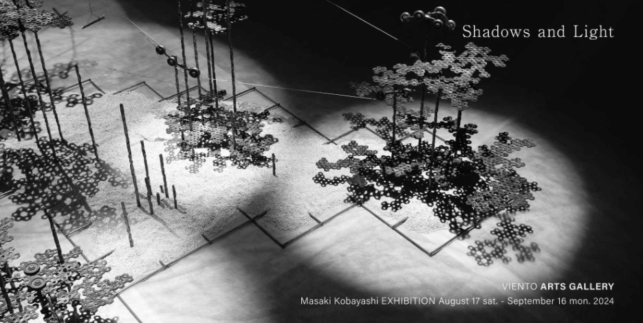 小林 正樹 Shadows and Light